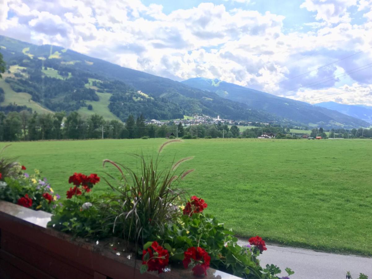 Etschbacher Haus im Ennstal Ngoại thất bức ảnh