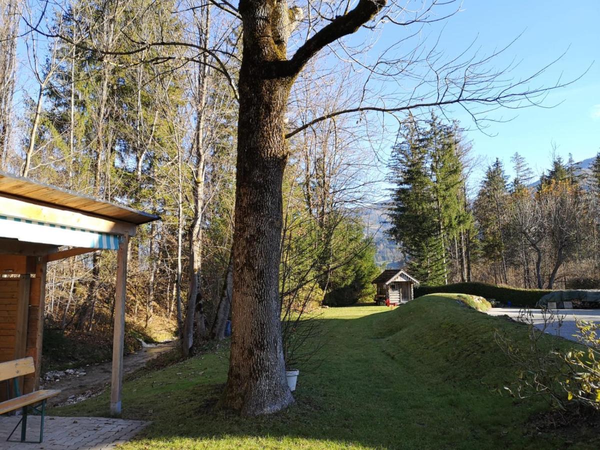 Etschbacher Haus im Ennstal Ngoại thất bức ảnh